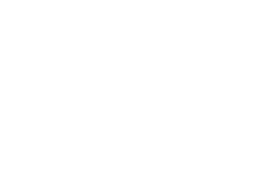 Logo di IMS, versione bianca
